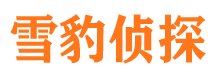 龙海侦探公司